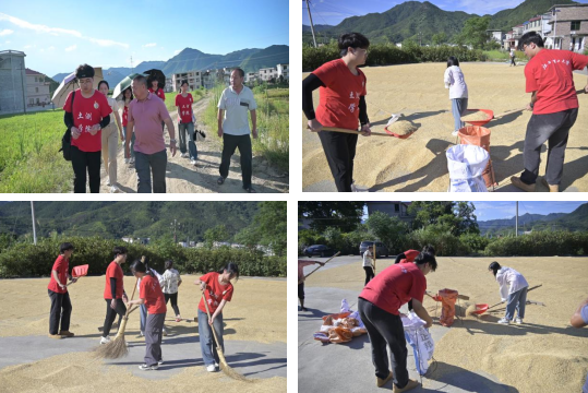 江西理工大学:深入走访调研 青春力量助力乡村振兴_fororder_图片7