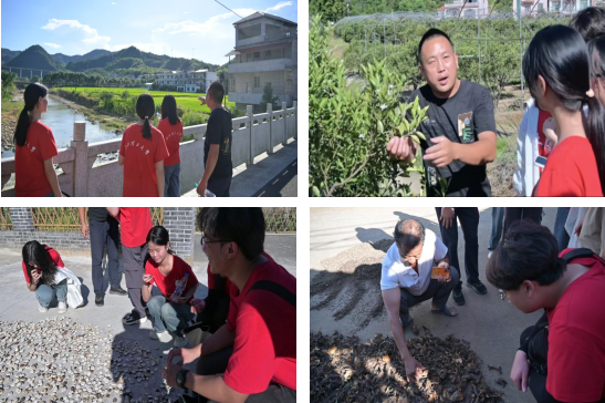 江西理工大学:深入走访调研 青春力量助力乡村振兴_fororder_图片6