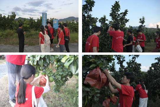 江西理工大学:深入走访调研 青春力量助力乡村振兴_fororder_图片8